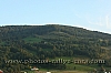 vosgien -2007-es5_84.jpg